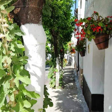 Mi Casita Del Bosque El Bosque (Cadiz)